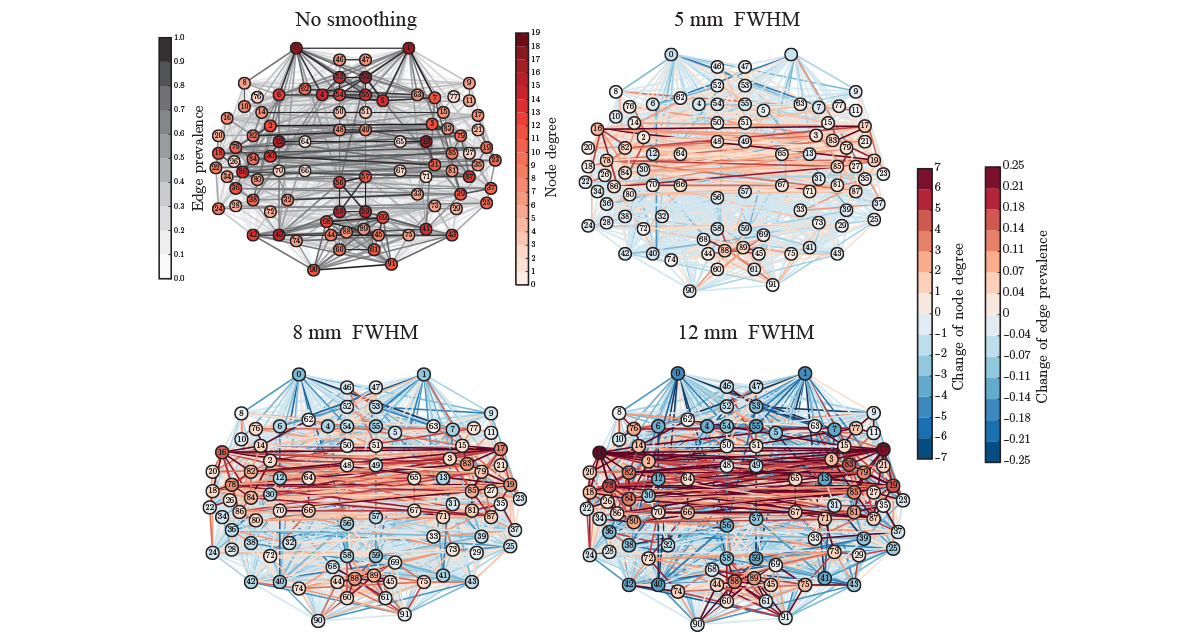 Functional brain networks